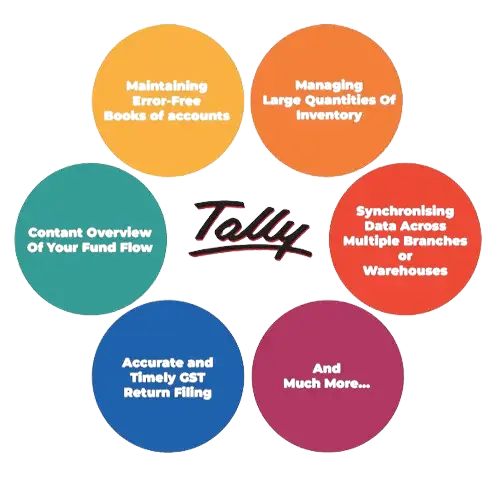 Tally vs Accounting Software